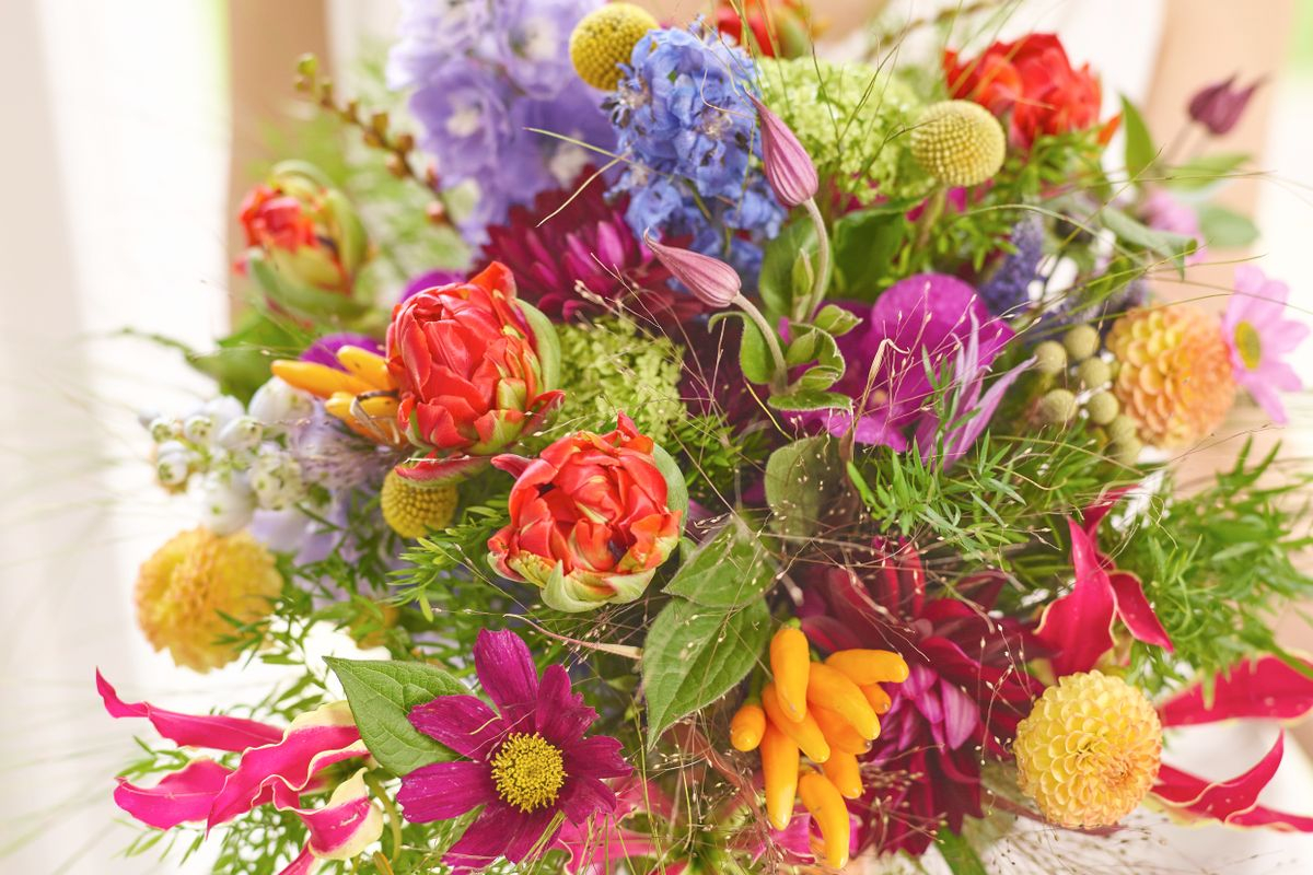 DigbethWeddings's tweet photo. Spring has nearly sprung, so what better way to celebrate the fact by showcasing some wonderful spring inspired wedding bouquets? Parrot tulips, cosmos flowers and clematis conjure up the image of a spring garden in bloom for sure. 💐 https://t.co/LosdAIcMKH