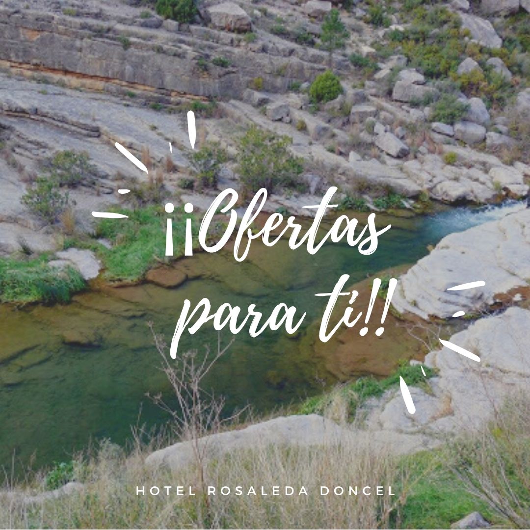 RosaledaDoncel's tweet photo. ¿¿Sabías que reservando directamente en nuestra web tienes un 5% de descuento??
Link en Bio!! -->>
#HotelRosaledaDoncel #Jérica #Castellón https://t.co/1ZttOqB17Y