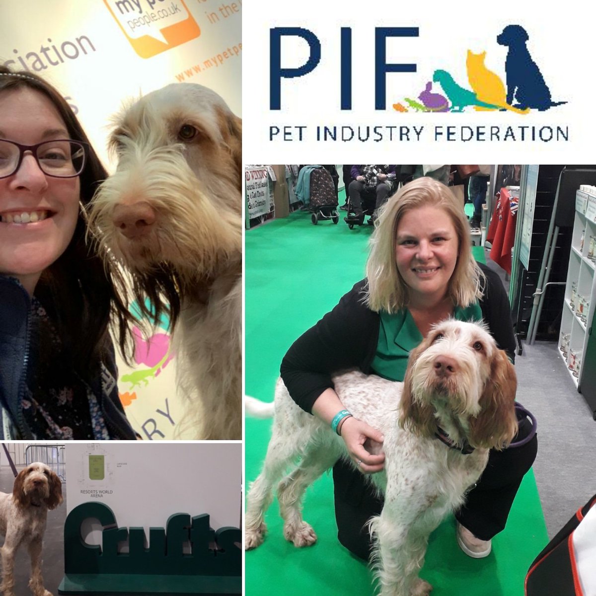 Pet Industry Fed. tweet media