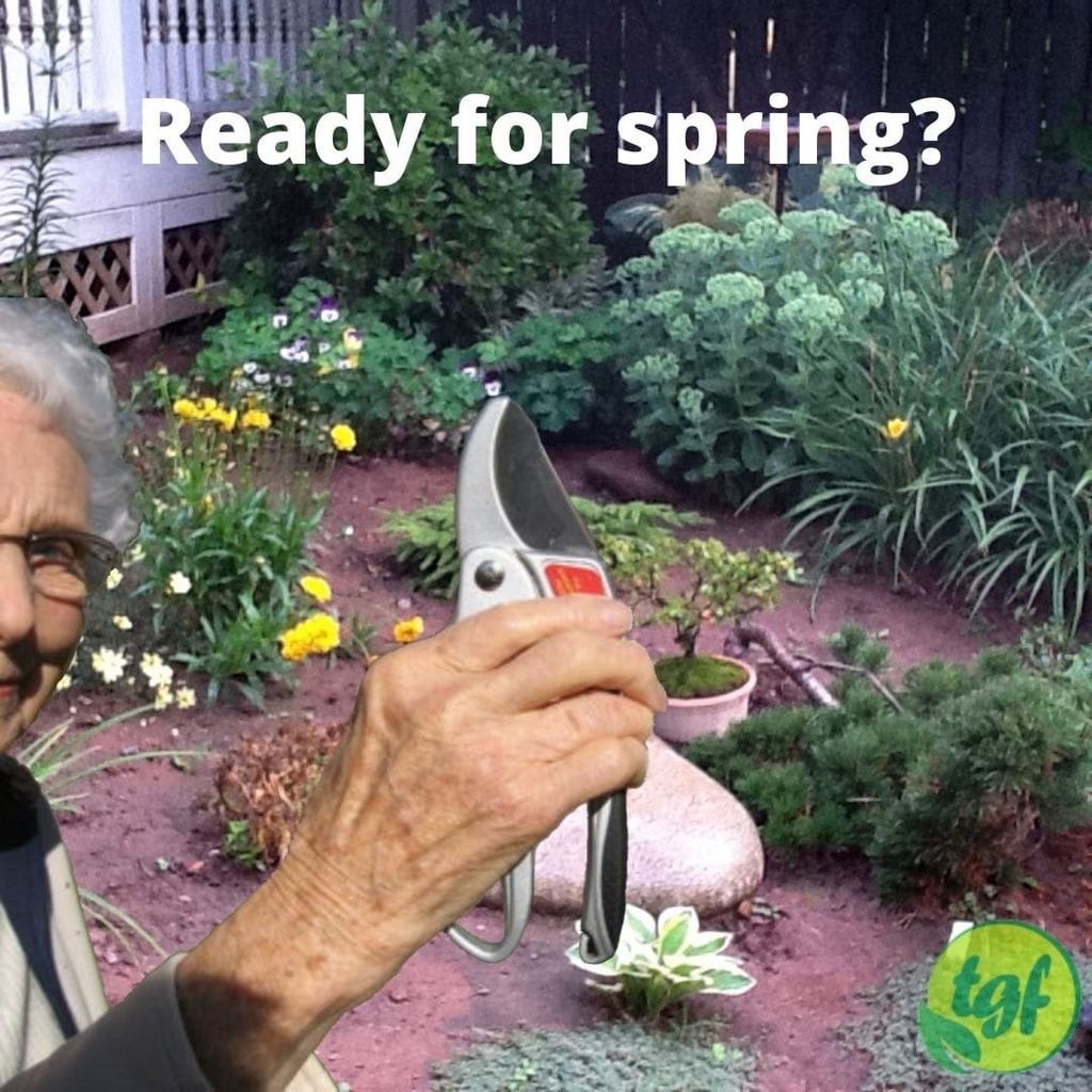 gardenerfriends's tweet photo. (Tumblr https://t.co/Ycj4d9INQ6) Spring is just around the corner, are you ready? ⁠
⁠
https://t.co/jQyZnNMxxe https://t.co/sWER4SpDKd ⁠
⁠
#pruners #ratchetpruners #anvilpruners #prunersforweakhands #secateurs #handpruners #pruning #gardeninggift #pruningtool #gardenpruners… https://t.co/YY2R9F3gsp
