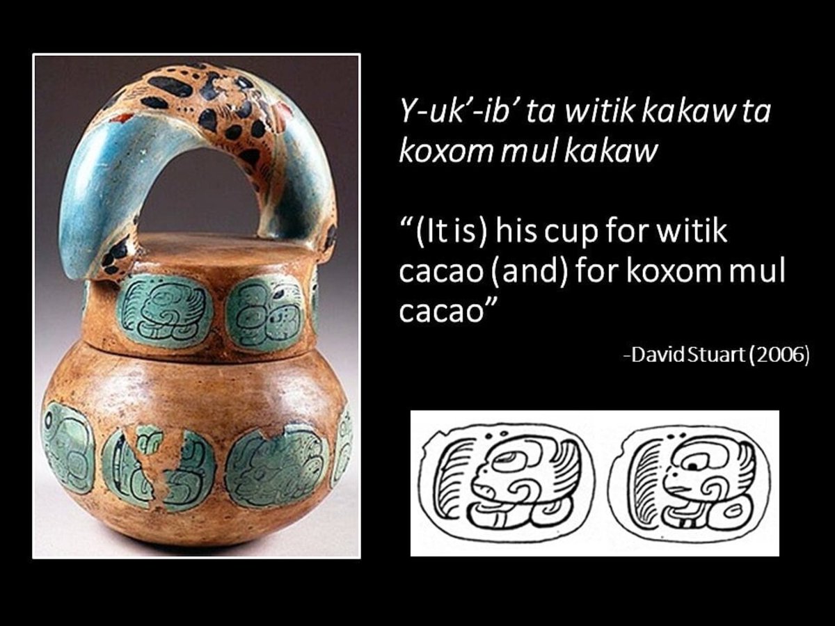 An amazing Cacao Pot was found in the tomb of a Maya ruler at the city of Rio Azul, Guatemala. @ajtzib translated the glyphs on the vessel, which read 'His cup for chocolate.' Furthermore, chemical residue inside the vessel showed it had indeed been used to drink chocolate. 7/8