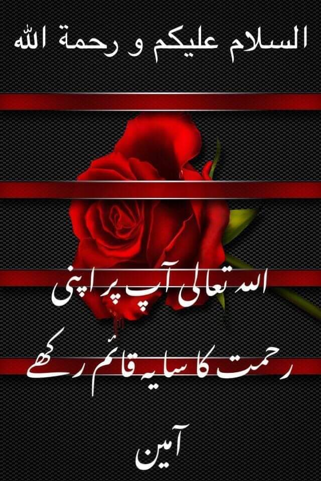 _Sheikh2's tweet photo. #islamic_Group
فالو کریں فالو بیک حاصل کریں
@Emrantarar786 A
@ZafarDar
@Pir_Kamil_
@Shakh25
@_M1SHAK
@iamSyedaAamna
@hussain786_fkh
@Z_Bangash1
@Nazish71420104
@FarhaNoor6
@iqra__Rafeeq
@VONPAK
@MRehmanKhan777
@Fatimaamber12
@Aneela_Khan786
@Shzad0 https://t.co/kKHtsbleym