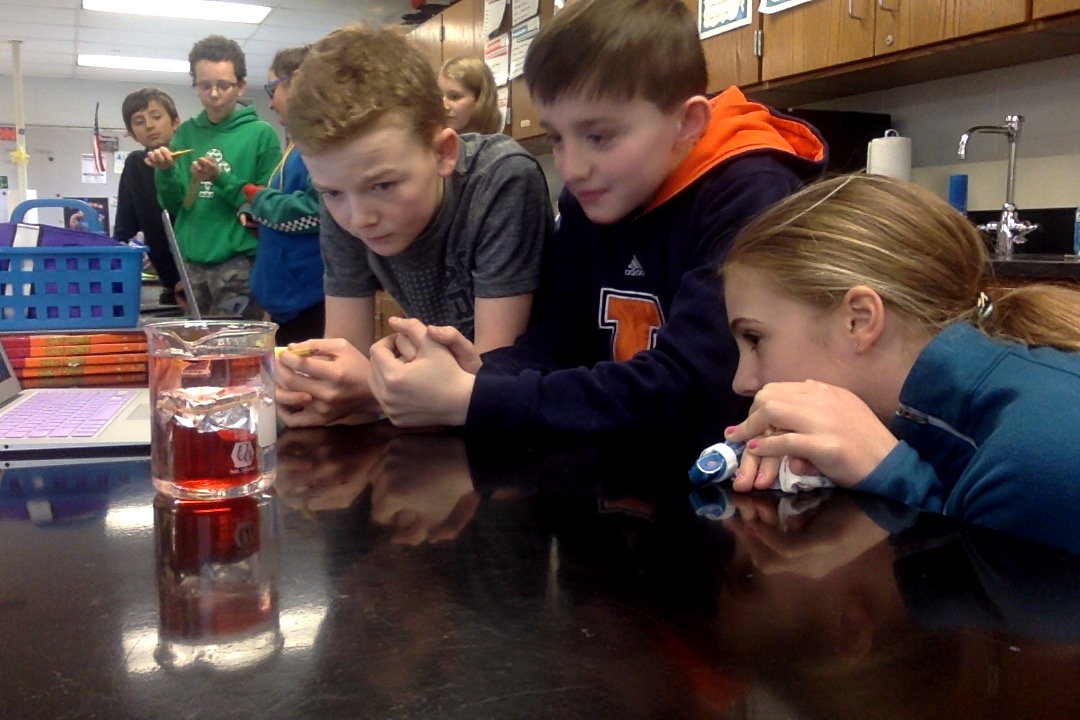 GieselmannMrs's tweet photo. Using a lab to understand how convection cycle creates movement in the Earth's mantle and understanding the energy that drives this process. MS-ESS2-1 #106learns https://t.co/h59OwHMcyB