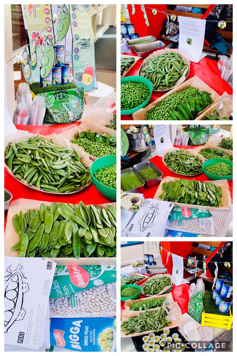 Happpea Friday @Ousebank trying all things #peas @VegPowerUK <a href="/chandco/">CH&CO</a> #EatThemToDefeatThem #vegetables