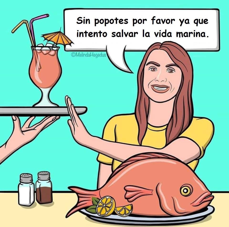 SoyVegeta's tweet image. La incoherencia de algunos.
#vegano #vegetariano