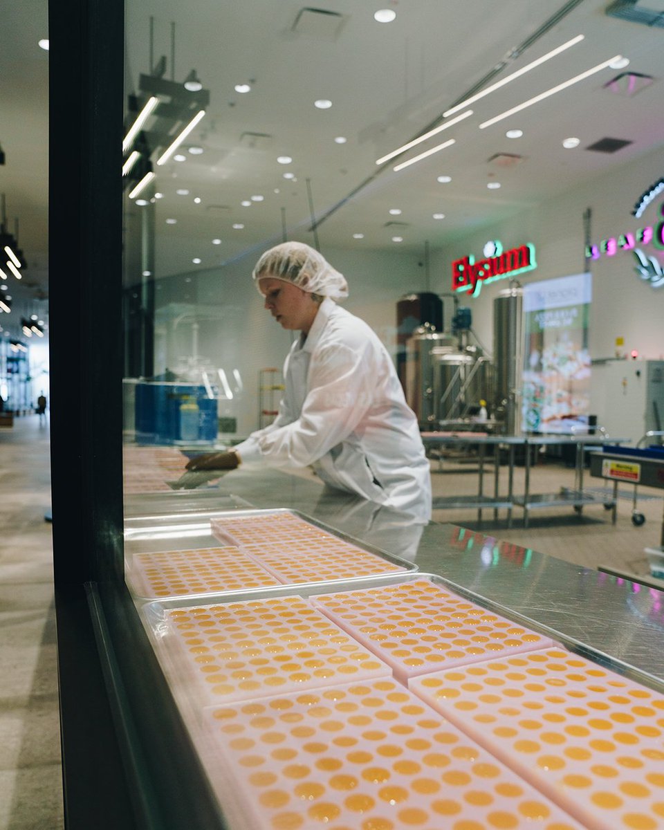 ShopPlanet13's tweet photo. In our state-of-the-art production facility, we bring the magic and laughs to life. Our team puts time and dedication into every product that is made, including #hahagummies.
Keep out of reach of children. For use only by adults 21 years of age and older. https://t.co/PgvYx0J7vX