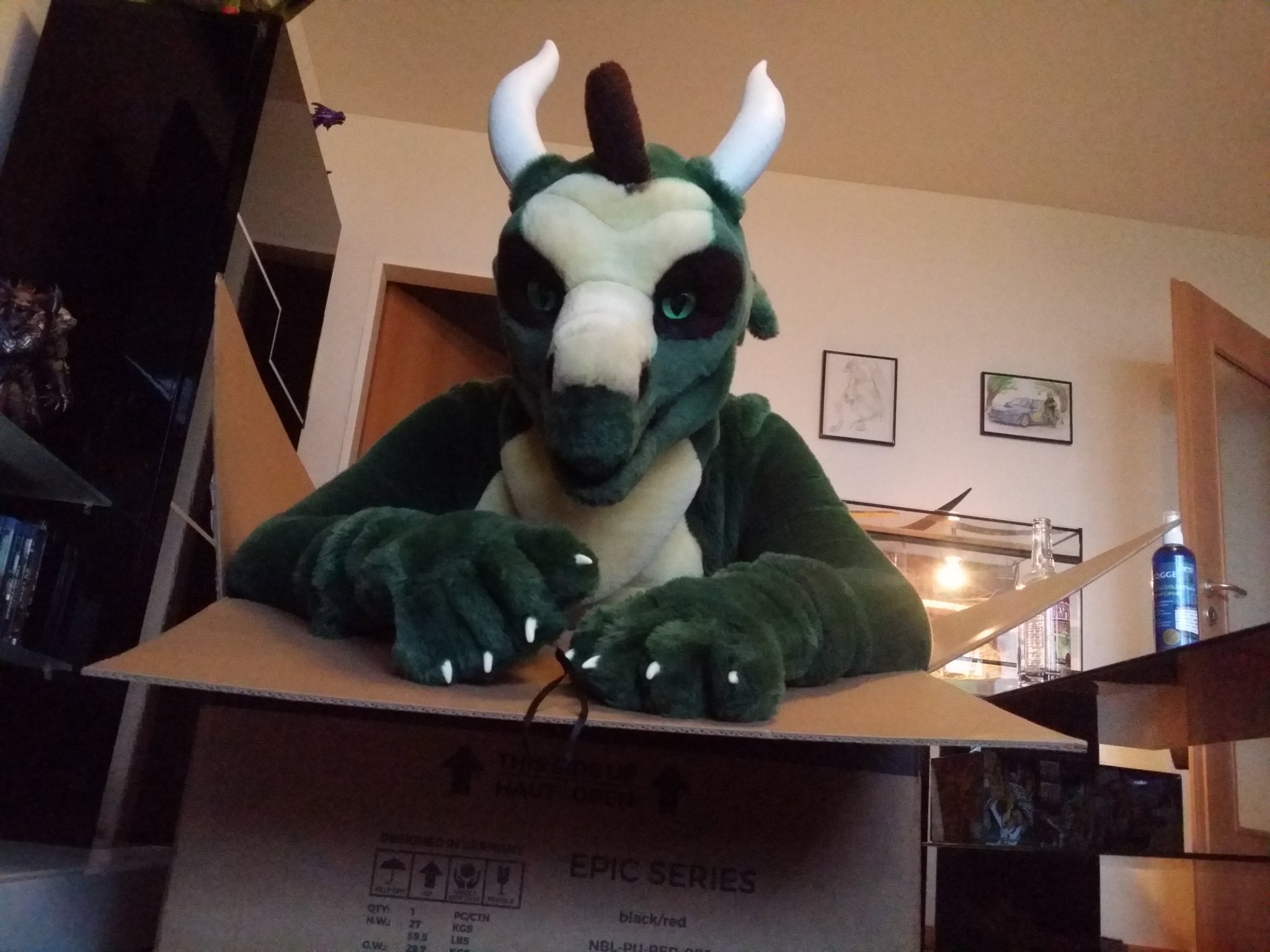 Akahito あかひと 焚火竜 What Did You Mean Dragons Are Just Big Cats With Wings I Have No Idea What You Mean But This Box Ist Still Comfortable With My Akahito あかひと 焚火竜 What Did You Mean Dragons Are Just Big Cats With Wings I Have No Idea What You Mean But This Box Ist Still Comfortable With My
