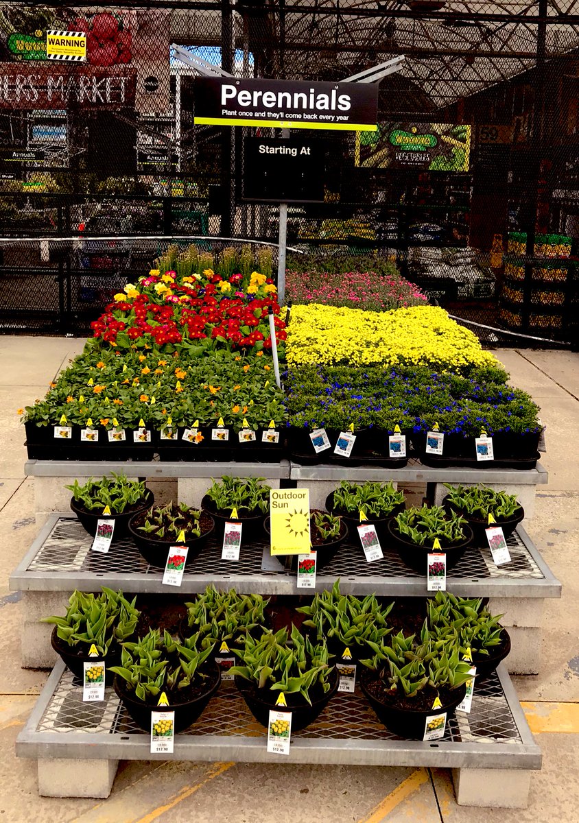 PPS_Melanie's tweet photo. Spring Fever is hitting Gastonia!
@PPS_April @PPS_Mitchell @PPSinHD @PPS_MarkS https://t.co/MlxSiw9x30