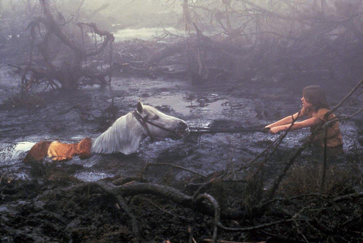  #TheNeverendingStory (1984) Wow i love this movie so much, it's such a magical ride and full of wonders and wonderful visuals that hold up to this day. The Swap scene is still as powerful as i remember it when i first saw it years ago. Such a wonderful family movie.