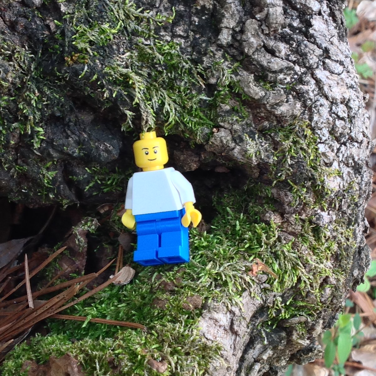 5th Grade at Northside Elementary tweet media