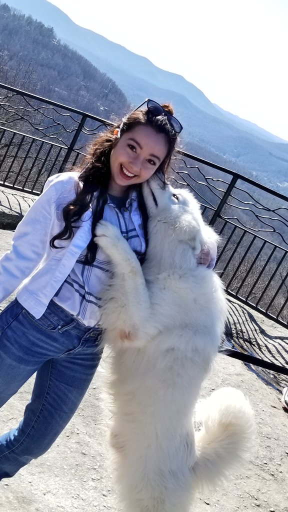 ARealGirlReview's tweet photo. @travelingmitch @UltimateOntario @OntSouthwest @OntarioTravel @tobloggers I ran into this wild beast a
#Jumpoffrock #Hendersonville #NorthCarolina https://t.co/b1JQqVF0JH