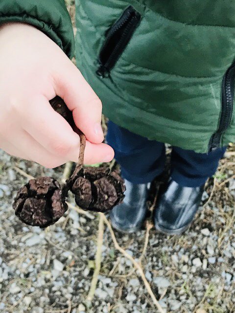 Outdoors in all weather <a href="/StClaresAbbey/">St Clares Abbey Primary School</a> taking shelter from hailstones-an adventure in itself! As soon as it stopped straight back to work-developing physical strength, regulating emotions, forming friendships, clambering up hills, swinging from trees, running free!
#earlyyears
