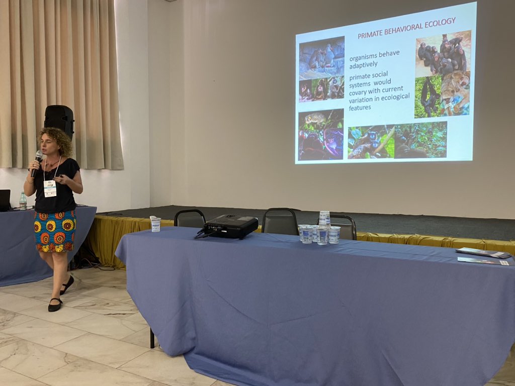 tfalotico's tweet photo. Iniciando a segunda parte do simpósio com a palestra da Patrícia Izar, sobre sistema sociais de primatas. #primatologia #ipusp #cbzoo2020 #cienciabrasileira https://t.co/7vClAc6D9a