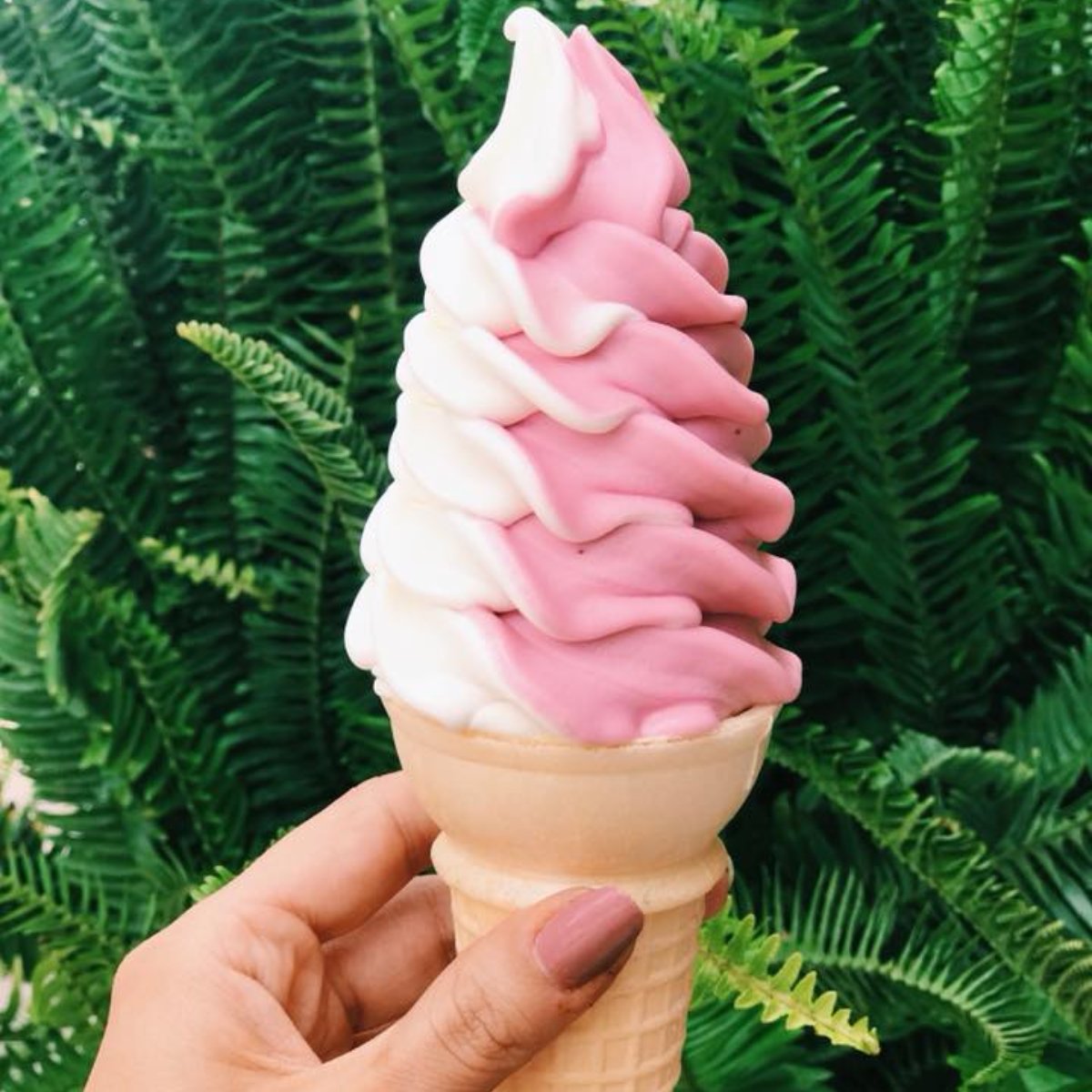 Bmore Licks tweet media