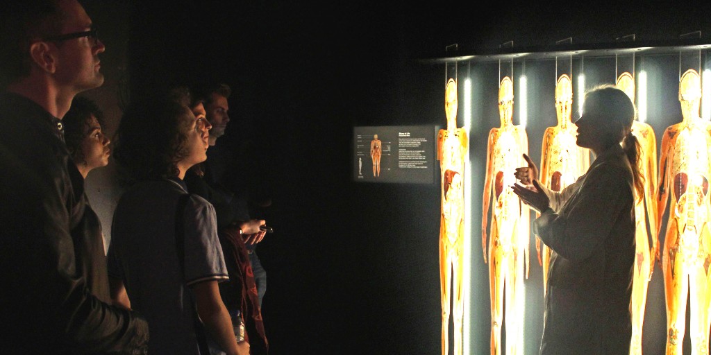 Body Worlds London tweet media