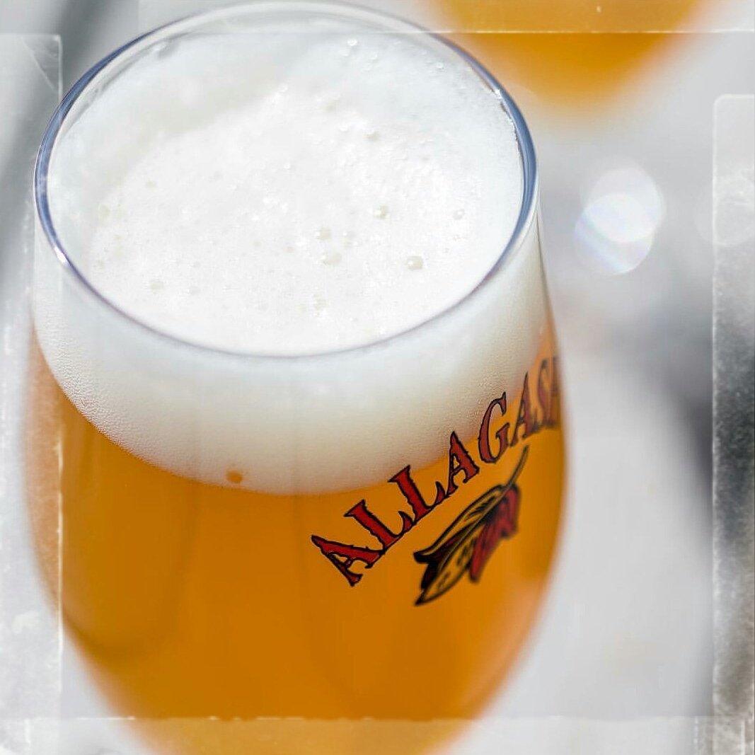 Blue Dog Beer Tavern tweet media