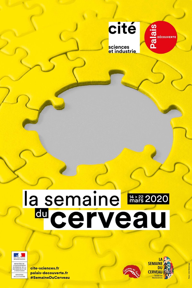 BrunoMaquart's tweet photo. La #SemaineduCerveau, c’est (déjà) la semaine prochaine au ⁦@palaisdecouvert⁩ et à la ⁦@citedessciences⁩ / ⁦@Semaine_Cerveau⁩ https://t.co/dwZRSfztm4