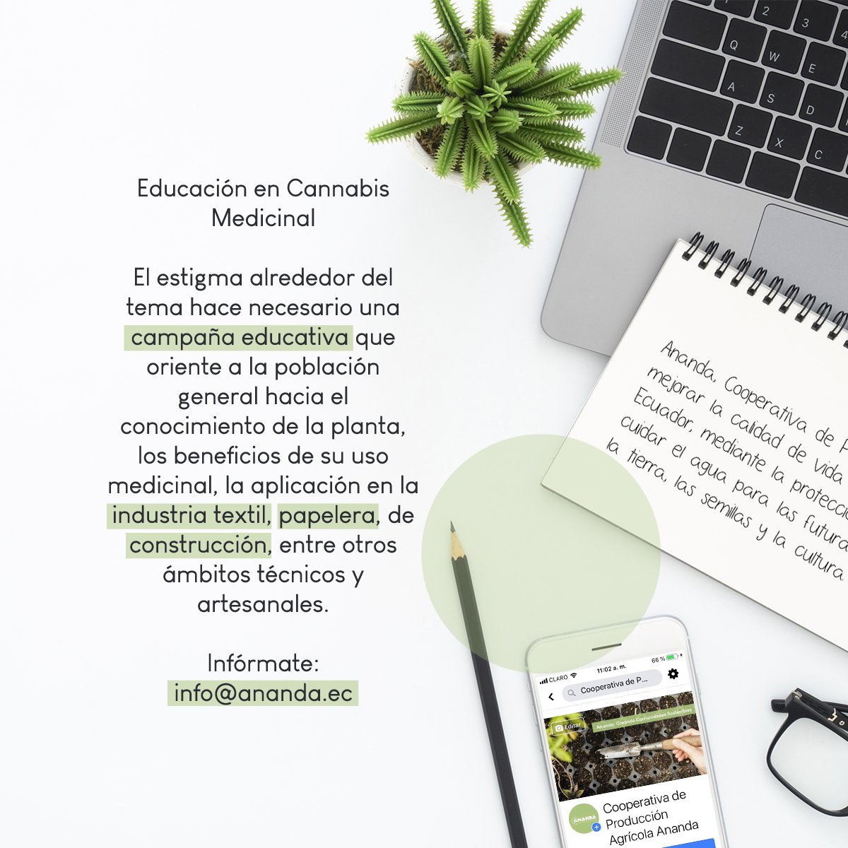 CooproAnanda's tweet photo. Estamos construyendo este proyecto para incentivar el desarrollo sostenible en las comunidades mediante la siembra de especies vegetales de alto valor agregado medicinal e industrial. 🌿 Te invitamos a conocer nuestras líneas de acción: https://t.co/tSxi85Go5A