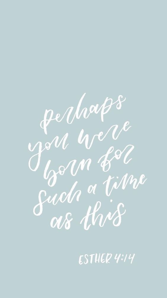 Elevated Faith (@elevatedfaith) on Twitter photo 