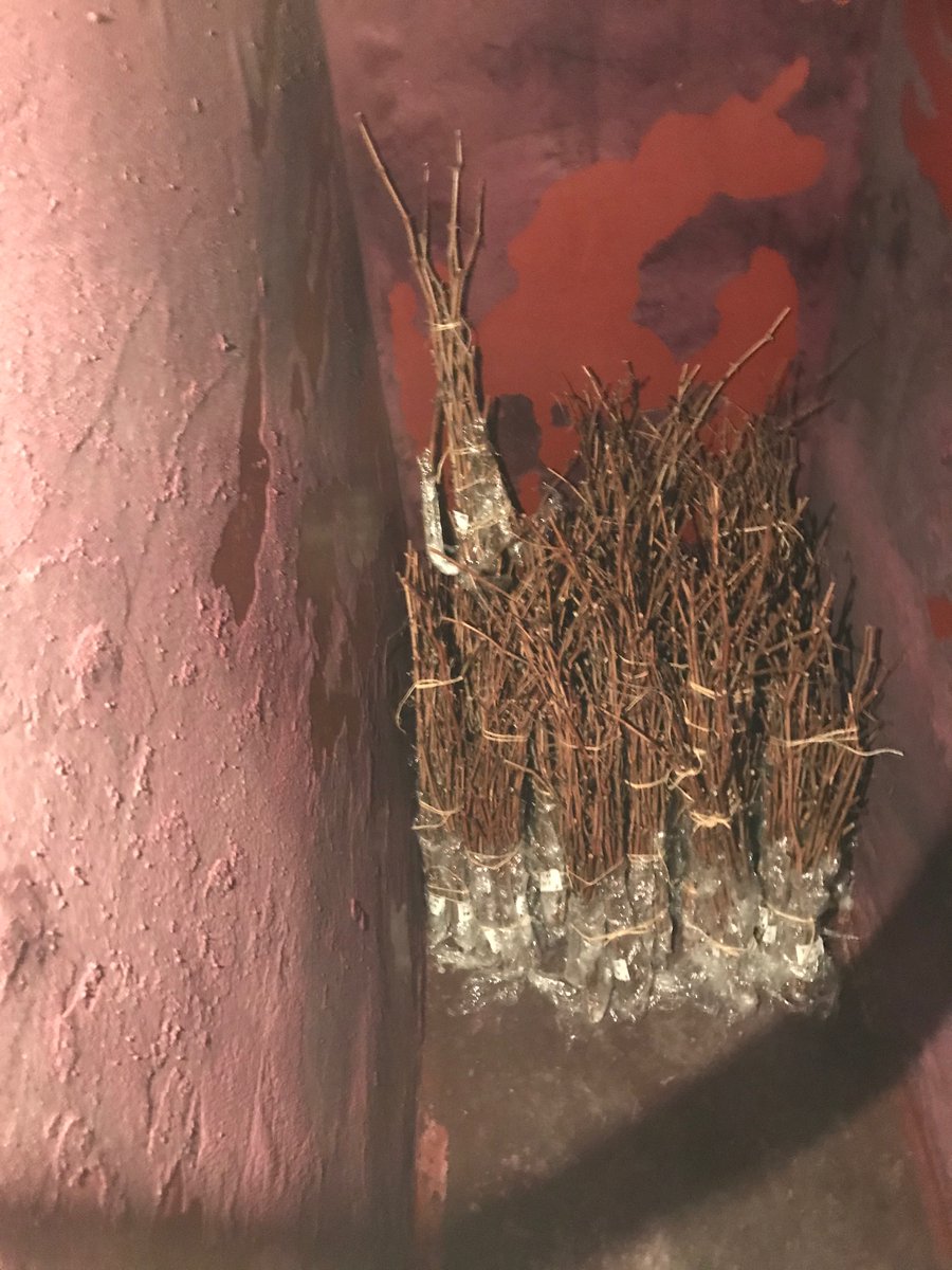 Guarda, para tener futuro!!