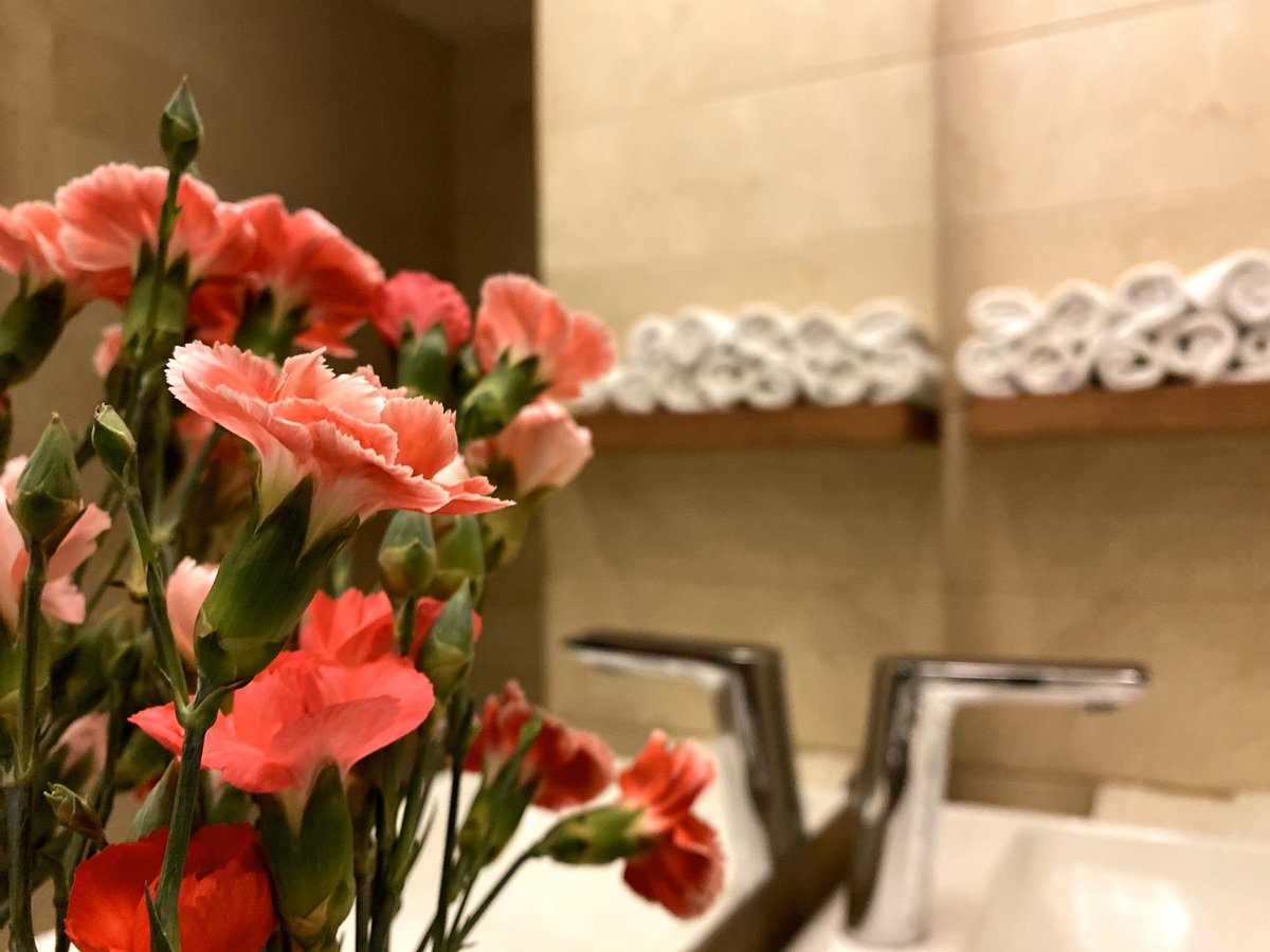 JW Marriott México Santa Fe tweet media