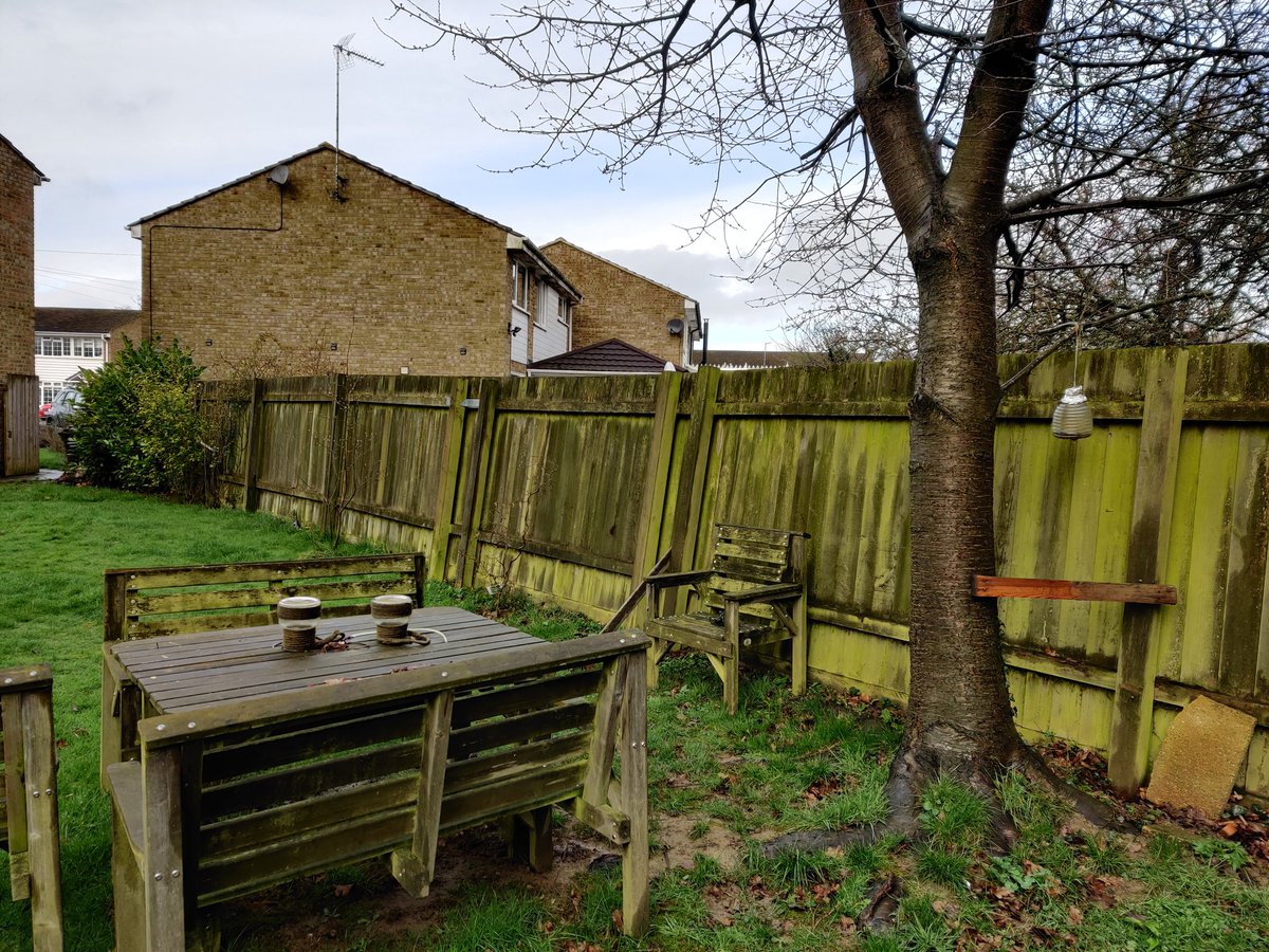 empirelandscap3's tweet photo. Another great #fence replacement completed in #headcorn #closeboard #fencing #landscaping #happycustomer https://t.co/0oJ9XcX2Wh