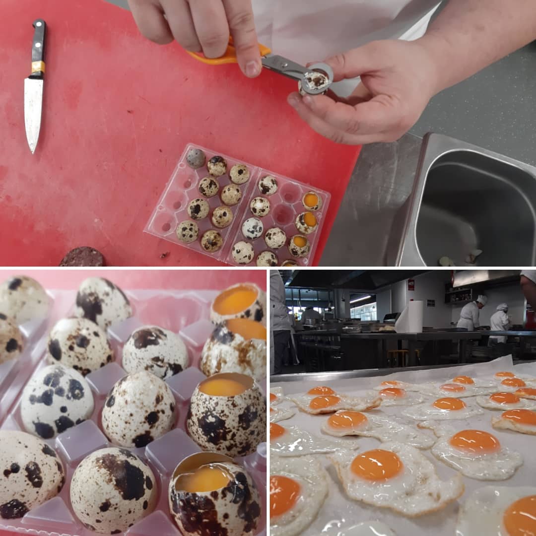 profesorFP's tweet photo. Experimentando cunhas #rillettes de #parrulo de @anadesgalicia 👉 o mellor resumo que podemos facer é o comentario do alumno que as executou culinariamente "Profe!!! Isto cheira moi ben!!"
Pan tostado, rillettes de parrulo salteadas con cabaciño e espárragos, ovo de paspallás https://t.co/h73B4o78af