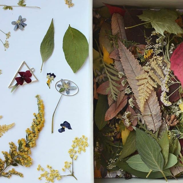 Creator @ahavilt
.
No, this is not two photos combined, it's just my flower box next to some bezels and stuff. 😂
.
This is how I decide what to put in the frames when I make resin jewelry. I love doing this part, you can get creative, decide the design and at the same time c…