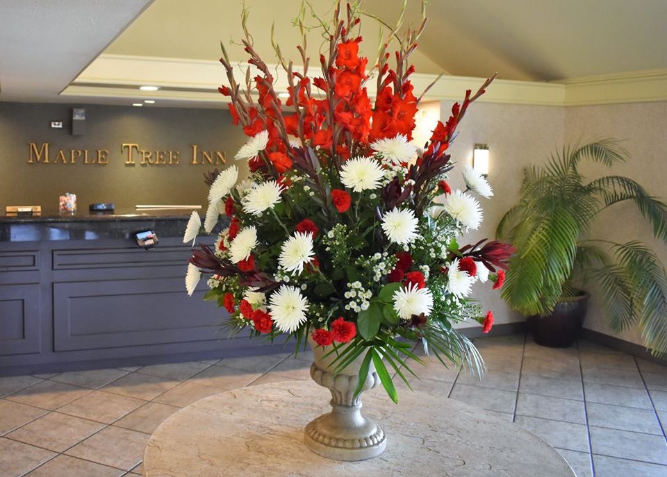 TheMapleTreeInn's tweet image. Lobby Flowers at @TheMapleTreeInn