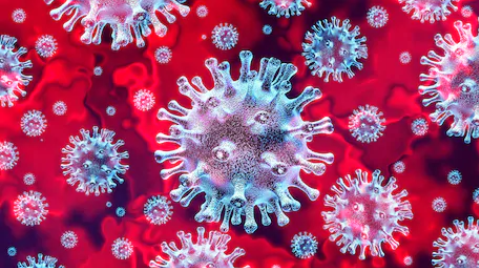 av_lancer's tweet photo. Avlancer wants to keep you informed of COVID-19 spread and to keep you up to date on prevention plans.
https://t.co/22cs2AgdLN
#AvFreelancer #Avlancer #AVTech #Freelancer #Coronavirus #washyourhands #HaveAPlan #BeReady https://t.co/3xlh8LfZzX