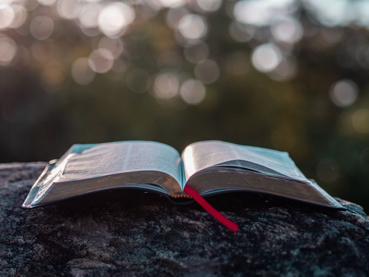 peteenns's tweet photo. "All our language of God, including that of the biblical writers, is inescapably enmeshed with how people of any time think and talk about anything—even as they speak of One who is not bound by time and place." https://t.co/YsqEpW6w04 #wisebible #bible2020 #yearofthebible https://t.co/CLUtFyy4hA
