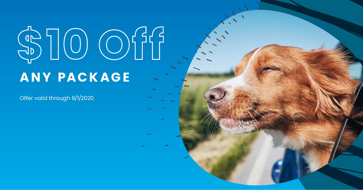 VipPetCare's tweet image. Our convenient and affordable packages help protect your pet against preventable diseases –come in by June 1 to get $10 off any package! Get voucher here: hubs.ly/H0nphJJ0 #VIPPetcare #HealthyHappySafe