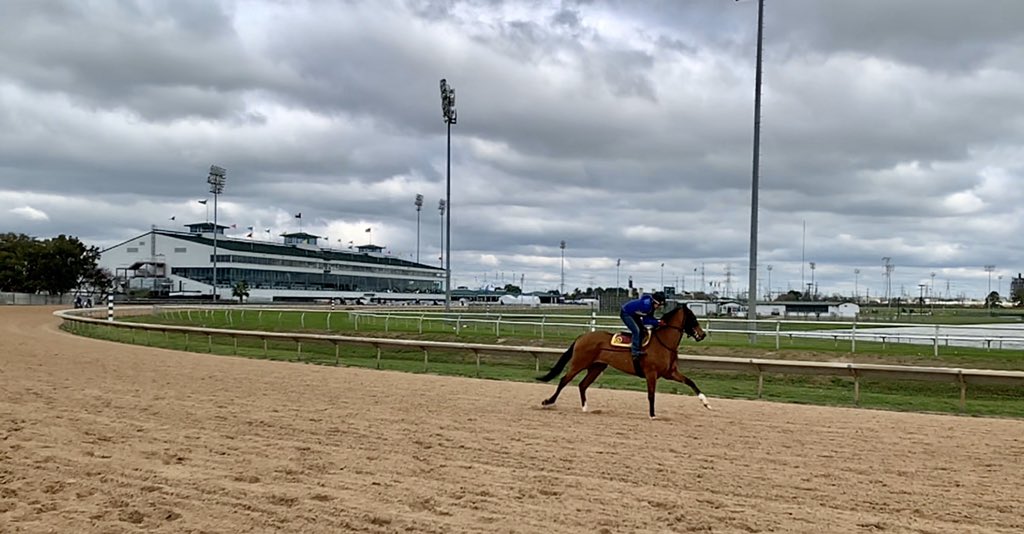 Through the first 24 racing dates at <a href="/SHRP/">Sam Houston Race Park</a>/<a href="/SHRPRacing/">SHRPRacing</a>...

•all-source handle: $42,556,363, an increase of 38.8% compared to the first 24 days 2019
•average field size is 8.66 ; 8.06 last year
•(as of 3/1) 55 horses have been claimed ($502k), compared to 25 total last year