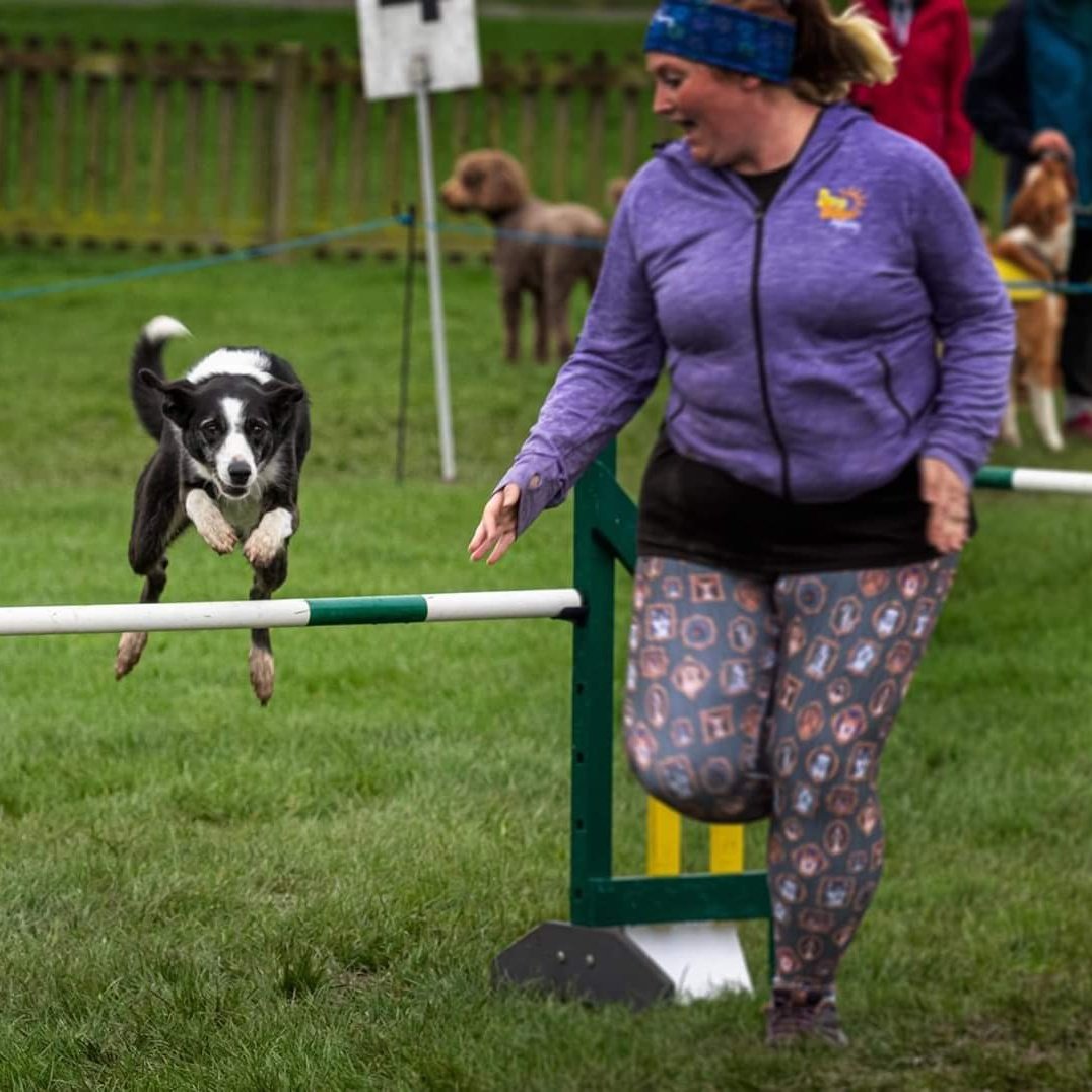 Mai will be 10 in May. She loves agility as it keeps her healthy and happy! No sign of slowing yet! #crufts #crufts2020 <a href="/Channel4/">Channel 4</a> <a href="/Crufts/">Crufts</a>