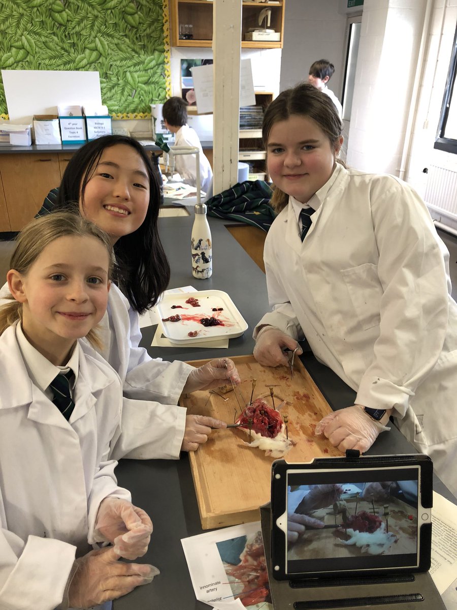 King’s Biology tweet media