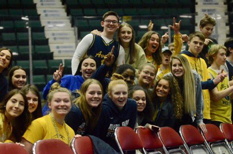 Goldmine tweet media