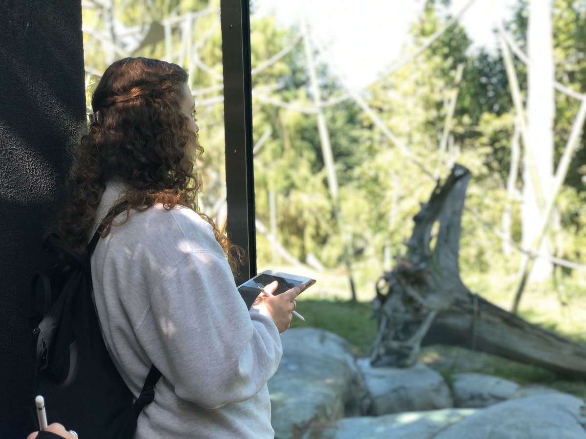 MrsKMiddle's tweet photo. @cchsdons AP Bio using iPads to collect data on animal behavior. @sandiegozoo thanks for hosting us! @AppleEDU @apple #iPad #AppleDistinguishedEducator #AppleDistinguishedSchool https://t.co/OKBao4QIJ4