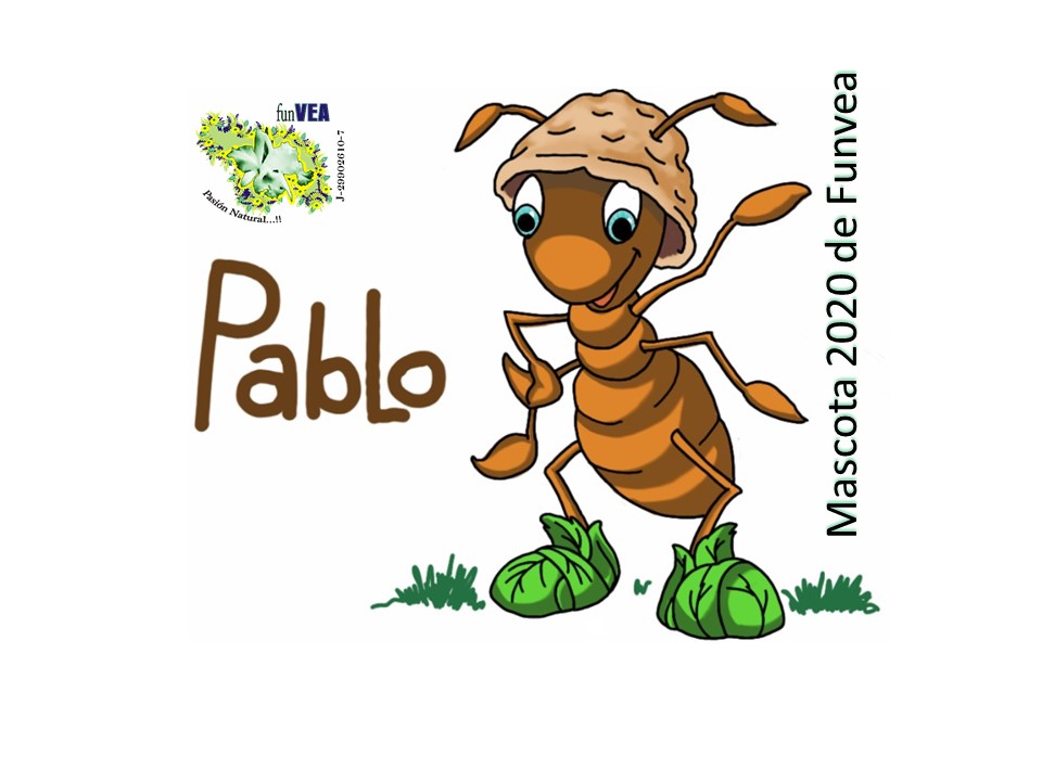 La hormiga Pablo es la nueva mascota de <a href="/funvea/">FUNVEA®</a>. Es un insecto que nos enseñan a ser sociales, nos muestra el valor de trabajar en equipo, de cómo la organización nos lleva a obtener mejor resultados, a mantener la unión entre todos.