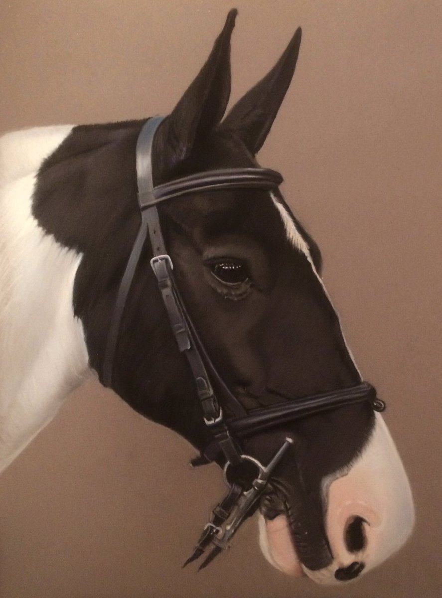 magichand9's tweet photo. #Horses #horselover #ArtistOnTwitter #pasteldrawing #equineart https://t.co/BvWSfOBfLm