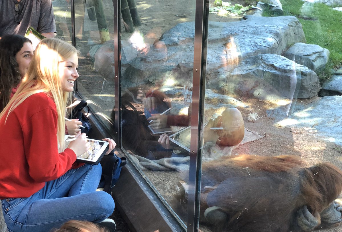 MrsKMiddle's tweet photo. @CCHSDONS AP Bio still working hard to collect data @sandiegozoo. @AppleEDU #iPad #appledistinguishededucator #appledistinguishedschool https://t.co/TC9LUH0eSL