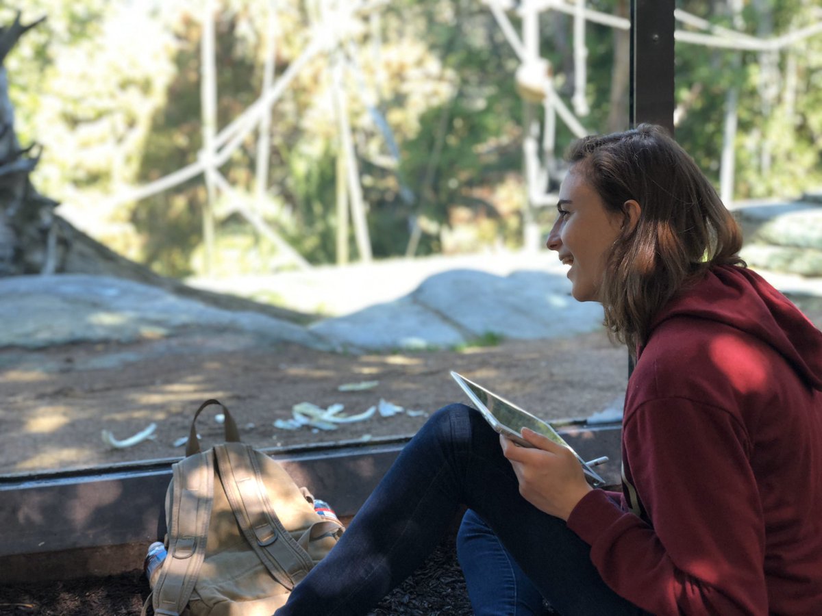 MrsKMiddle's tweet photo. @CCHSDONS AP Bio still working hard to collect data @sandiegozoo. @AppleEDU #iPad #appledistinguishededucator #appledistinguishedschool https://t.co/TC9LUH0eSL