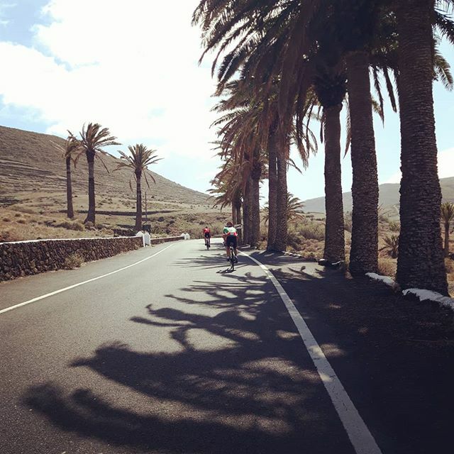 joanna carritt (@jo_carritt) on Twitter photo Last day of pre-camping: purple wind forecast +a lap of the island +some special guest company :) ...<a href="/edt_news/">EverydayTraining</a> #KOVcamplanza2020 starts tomorrow...... ift.tt/39BgzLu Last day of pre-camping: purple wind forecast +a lap of the island +some special guest company :) ...<a href="/edt_news/">EverydayTraining</a> #KOVcamplanza2020 starts tomorrow...... ift.tt/39BgzLu