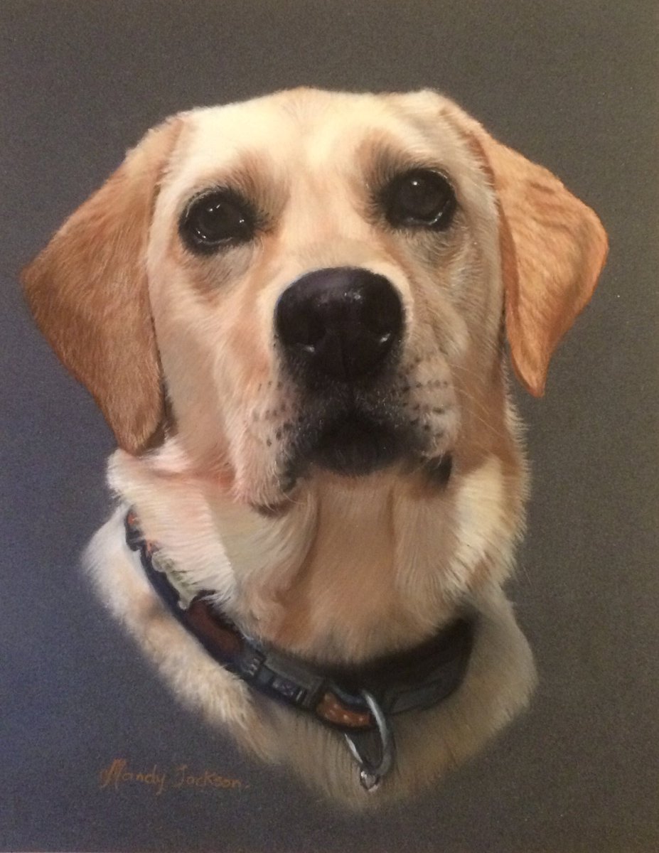 magichand9's tweet photo. #labradorretriever #labrador #petportraitartist #petsofinstagram #drawing https://t.co/WGp815QmHE