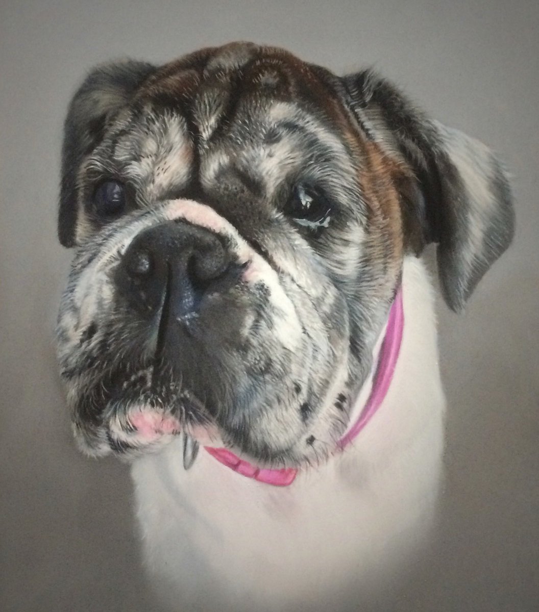 magichand9's tweet photo. #doguedebordeux #DogLover #ArtistOnTwitter #dogsoftwitter https://t.co/aQRPbDs4yB
