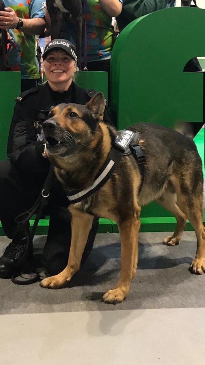 WMP Dog Unit tweet media