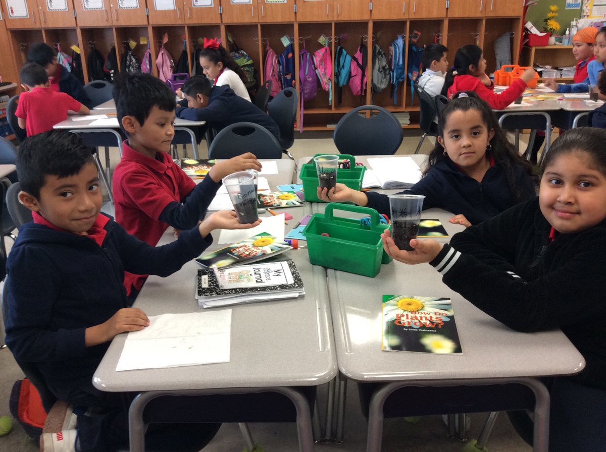 JMartinezneff's tweet photo. Love ❤️ learning  about plant life cycle planting, writing and reading @Neff_ES. https://t.co/iaVN6gAfm2