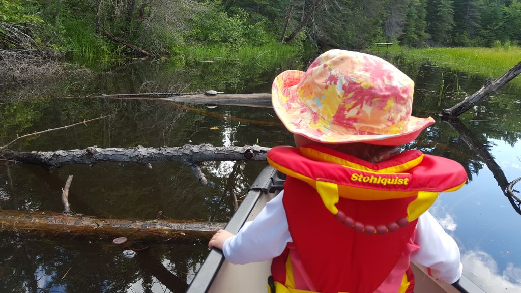 BonnecherePP's tweet photo. 7 reasons your family will fall in ❤️ with Bonnechere: https://t.co/sV8Hp5CTfJ https://t.co/bIhKDw9oso