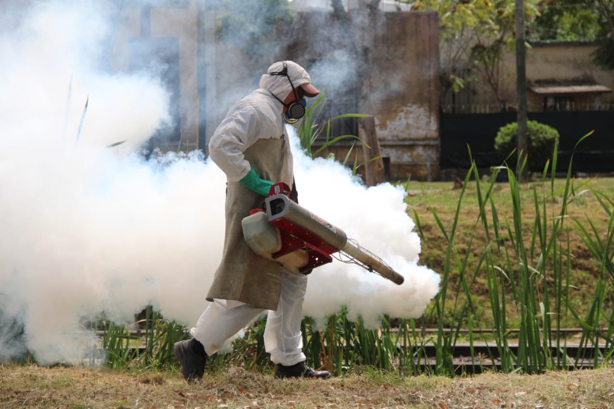 MunicipioLdeZ's tweet photo. El @MunicipioLdeZ se encuentra realizando activamente jornadas de fumigación en parques, plazas y espacios verdes. https://t.co/wBCGLNpPYh