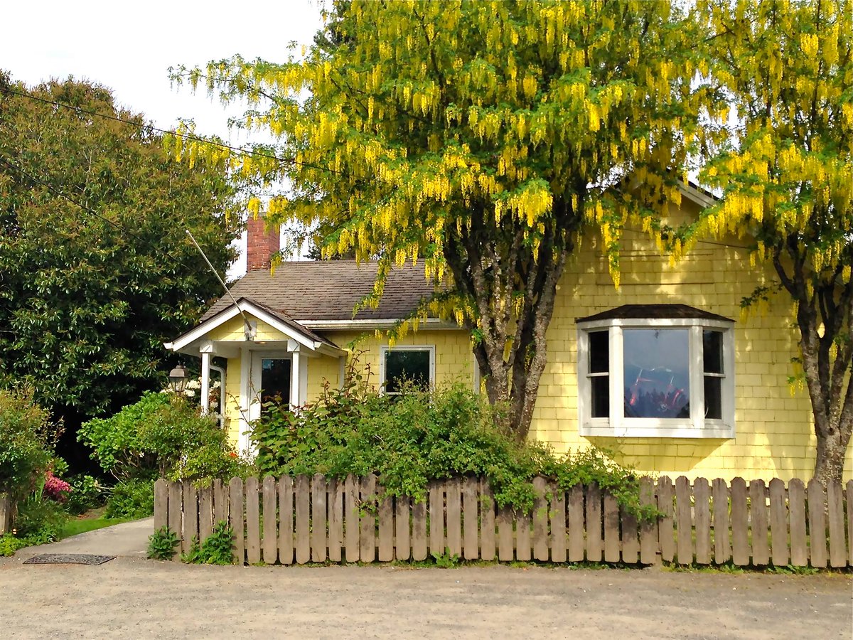 Vashon Blog on Twitter "Tonight! Make sure you don't miss Loren at