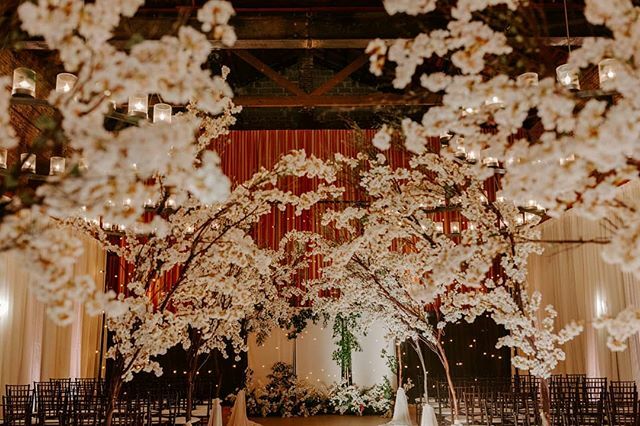 ROQUEevents's tweet photo. Reminiscing on this winter wonderland we created for P + S! String lights + cherry blossom created the ultimate setting! 📷: @taylormccutchan // Event Production + Design: @roqueevents // Venue: @theestateyountville // Floral Design: @flowergirlem // Rentals + Tent: @encoreev… https://t.co/fjL9Y93gQK